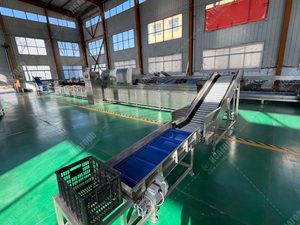 Clasificador Inteligente de <span class=keywords><strong>Papas</strong></span> - <span class=keywords><strong>Identificación</strong></span> de Defectos por IA para Fábricas de <span class=keywords><strong>Papas</strong></span> Fritas - Product Image 3