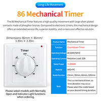 Interruptor Temporizador Electrónico de 10A y 30 Minutos, Enchufe con Temporizador Digital, Interruptor de Control de Enchufe, CA 220V