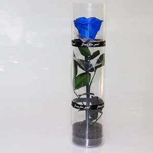 ดอกกุหลาบอบแห้งขนาด 8*8*30 ซม. ในกล่องของขวัญ PVC ดอกกุหลาบคงสภาพตลอดกาล ของขวัญวันวาเลนไทน์ - Product Image 3