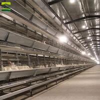 Cages à poulets de haute qualité, type H, en acier galvanisé à chaud, pour l'élevage de poulets de chair et de cailles