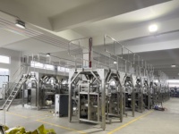 Nouvelle machine d'emballage automatique VFFS à mouvement continu haute vitesse pour le remplissage, l'étiquetage et l'ensachage de sachets de dragées, d'aliments soufflés et de produits secs