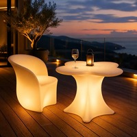 Table lumineuse à LED RGB en forme de fleur de prunier, corps givré sans joint, pour bar, salon, hôtel, villa, jardin, patio, utilisation en extérieur