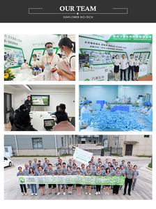 <span class=keywords><strong>เมล็ด</strong></span><span class=keywords><strong>พุทรา</strong></span>จีน Spina วันที่ - Product Image 6