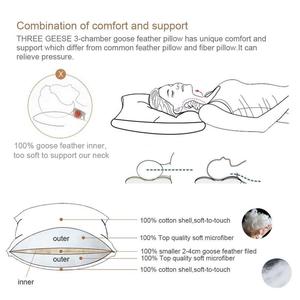 2025 OEM đặt hàng dịch vụ thở xuống bằng chứng fabric100 ngỗng 3 buồng xuống gối chèn 18x18 20x20 - Product Image 6