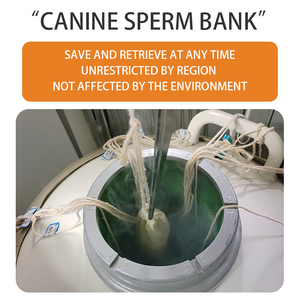 Équipement de stockage de sperme congelé pour chiens et bovins, technologie d'entraînement, enseignement, stockage à l'azote et à la glace sèche, équipement vétérinaire - Product Image 5
