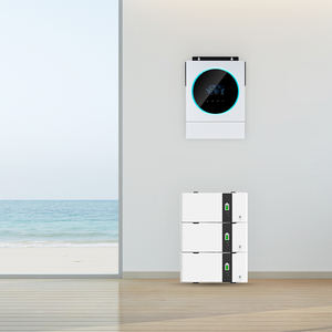 <span class=keywords><strong>Inversor</strong></span> Aislado Voltronic de 4KW 24V 48V Inversores Solares Híbridos con Controlador de Carga MPPT para el Hogar - Product Image 4