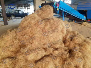 Stable <b>Running</b> Coconut Fiber Separator Multifunctional Industrial <b>Machine</b> For Husk Fiber Shaping And Arranging Process - Product Image 5