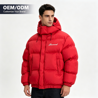 Blouson rembourré à capuche pour homme, style hip-hop, avec logo personnalisé, finition hiver, 100% polyester, poches plaquées 3D, imprimé sur le devant