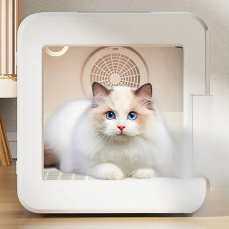 Özel ev küp şekli hassas sıcaklık kontrolü sessiz otomatik kedi kurutma kutusu yüksek kaliteli pet kuru kutu pet saç kurutma makinesi