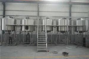 Honglin 200l Brouwerij/Biermachine/Home Brew 200l 300l 500l Per Dag Bier Biermachine