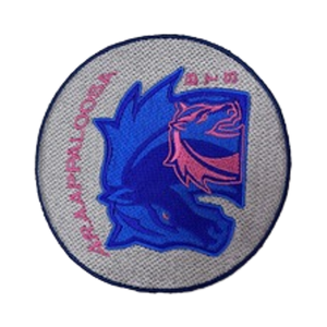 แพทช์ผ้าทวิลปักลายการ์ตูนแบบรีดติด ราคาถูก จำนวนมาก ไม่มีขั้นต่ำ ตราสัญลักษณ์ออลสตาร์ ระยะเวลาผลิตตัวอย่าง 7 วัน - Product Image 1