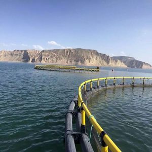High Toughness HDPE Circular <b>Floating</b> Cage Anti-fouling Structure For Long Service Marine Farming - Product Image 6