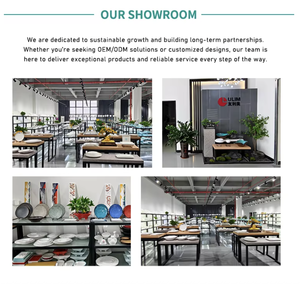 Trực Tiếp Bán Buôn Melamine Tấm Bộ Đồ Ăn Thân Thiện Với Môi Món Ăn Cho Thương Mại Khách Sạn Thanh Và Nhà Hàng Cho Các Bên - Product Image 4