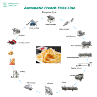 Uwants 1000kg/uur Automatische Productielijn voor Diepvriesfrieten, Aardappelverwerkingsmachine, Industriële Frietproductielijn