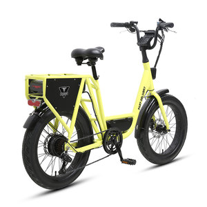 Vélo Électrique Urbain Élégant TXED 48V 250W, Cadre à Montage Bas Facile, Conception pour les Trajets Quotidiens Urbains, Vélo Fiable Toutes Conditions Météo - Product Image 1