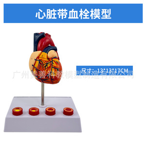 4/ - Product Image 2