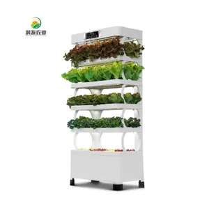 Agriculture Microgreen Aquaponics Indoor Vertical Hydroponic Growing Systems Planting Grow Vegetables