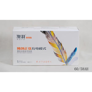 맞춤형 36V <span class=keywords><strong>48V</strong></span> 60V 72V 10Ah 20Ah 50Ah 60Ah E-바이크 전기 자전거 스쿠터 리튬 이온 배터리 팩 (BMS 충전기 포함) - Product Image 2