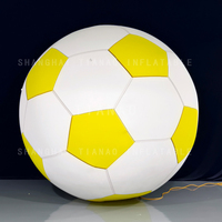 Ballon de football gonflable Ballon de football gonflable Modèle de football gonflable pour la publicité