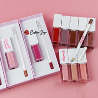 Kits de rouge à lèvres et de crayon à lèvres végétalien à haute pigmentation bricolage Tube différent végétalien marque privée rouge à lèvres liquide mat et ensembles de crayon à lèvres