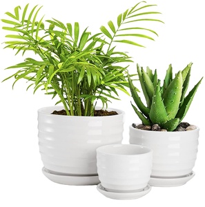 Fasmov vasi per <span class=keywords><strong>piante</strong></span> in ceramica foro di drenaggio e piattino rotondo fiore moderno <span class=keywords><strong>Cactus</strong></span> succulento tutte le <span class=keywords><strong>piante</strong></span> di casa <span class=keywords><strong>fiori</strong></span> succulente bianco - Product Image 2