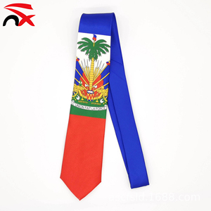 Cravates à motif <span class=keywords><strong>drapeau</strong></span> haïtien <span class=keywords><strong>de</strong></span> haute qualité, décontractées et tendance, en gros, avec logo personnalisé pour hommes, collection 2025 Nuoxin - Product Image 1