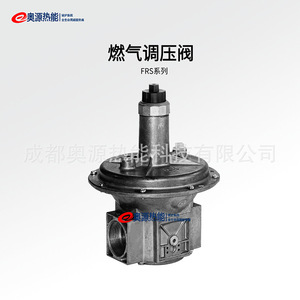 Vanne de réduction de pression Dungs FRS503 1/2 pouce pour brûleur de chaudière, vanne de régulation de gaz - Product Image 2