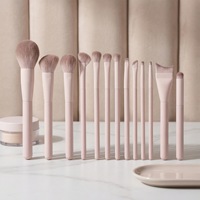 Ensemble de 13 pinceaux de maquillage Taoyao avec poils synthétiques et manche en plastique, pinceaux pour les yeux, le nez et les joues, kit complet pour les fards à paupières