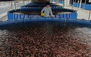 Réservoir Yu de haute qualité 2,25 m en <span class=keywords><strong>bâche</strong></span> d'acier galvanisé, équipement d'aquaculture, protection contre les incendies de forêt, stockage d'eau - Product Image 6