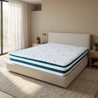 Matelas fin ergonomique et ferme d'excellente qualité pour les maux de dos Tissu respirant pour un meilleur sommeil Matelas