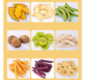 Essiccatore per la produzione di frutta a base di erbe per uva di ananas commerciale di grande capacità - Product Image 3