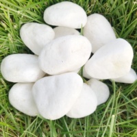 Décoration Naturelle : Galets Blancs pour Jardin, Petites Pierres Blanches pour Aquarium, Galets Décoratifs