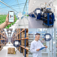 Congélateur LoRaWAN Capteur de température OEM Portable Humidimètre Incubateur Industriel LoRa Capteur de température Enregistreur de données pour la température