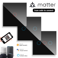 Interrupteur intelligent Matter standard européen 10A, télécommande, connexion directe Apple Homekit, panneau en verre de luxe, interrupteur tactile