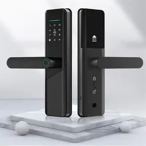 Camera da letto appartamento Wodren codice digitale sicuro biometrico compatibile Alexa Dor Smart Office dor lock con impronta digitale