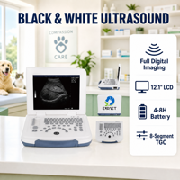 Système d'échographie médicale portable compact EURVET, entièrement numérique 2D, machine de diagnostic compatible, fonction de réglage TGC étendue