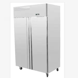 Style européen grande porte refroidisseur vertical congélateur refroidissement par Air Double grande porte réfrigérateur vertical réfrigérateur
