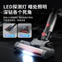 Aspirateur à poils d'animaux pour maisons multi-animaux, aspirateur à main sans fil avec réservoir de poussière de 1L et écran LED intelligent