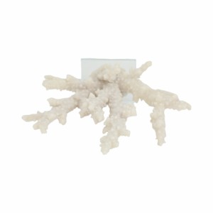 Scultura di corallo a rami su base di vetro, elegante statua per decorare casa, ufficio e bagno - Product Image 6