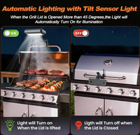 Lampe de barbecue pour l'extérieur, rechargeable, avec capteur d'inclinaison automatique marche/arrêt, éclairage 360° °   Support universel réglable pour gril et plancha