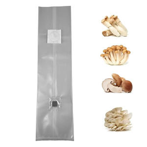 Sac de ponte de <span class=keywords><strong>champignon</strong></span> transparent avec patch filtrant et port d'injection pour <span class=keywords><strong>culture</strong></span> liquide stérile et inoculation de <span class=keywords><strong>substrat</strong></span> - Product Image 3