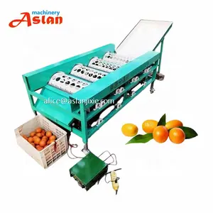 factory supply high quality round shape size grading machine/fresh citrus size classification drum type sorter