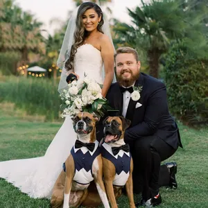Qiqu gravata de cachorro clássica, suprimentos para pets personalizado, com jabots, vestido de casamento para pet