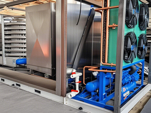 Runte 2025 Mới Nhanh Chóng Đóng Băng Iqf Đường Hầm Nhanh Chóng Đóng Băng Cá Muối Phòng Lạnh Đường Hầm Nhanh Chóng Đóng Băng Máy - Product Image 2