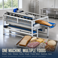 Wanlisonic Nouvelle Machine à découper les aliments ultrasonique électrique 220V haute productivité pour trancher le pain de mie