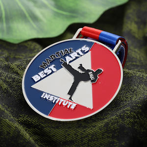 מפעל למות הליהוק מדליות מתכת מותאמות אישית 2d כסף מצופה סגסוגת אבץ אמייל ג 'ודו קראטה טאקוונדו מדליות לוגו מותאם אישית - Product Image 6