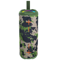 Haut-parleur détachable 2-en-1 magnétique 10W TWS sans fil portable Bluetooth