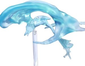 Modello di Ventricoli Cerebrali Umani per Insegnamento Medico, Strumento Didattico per Bambini, Espositore Educativo, Modello di Ventricolo Cerebrale CE/ISO - Product Image 3