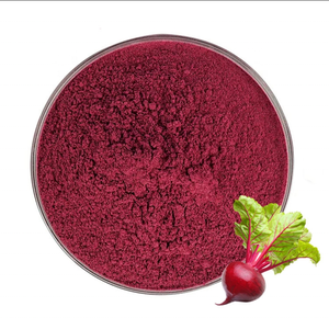 Sprüh getrocknetes Rüben wurzel pulver mit Bio-Rotrüben pulver und Zuckerrüben pulver für den industriellen Einsatz - Product Image 2