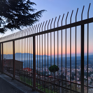 سياج معدني أنبوبي أسود مصنوع من الألومنيوم المصنوع من لوح المطاوع - Product Image 5